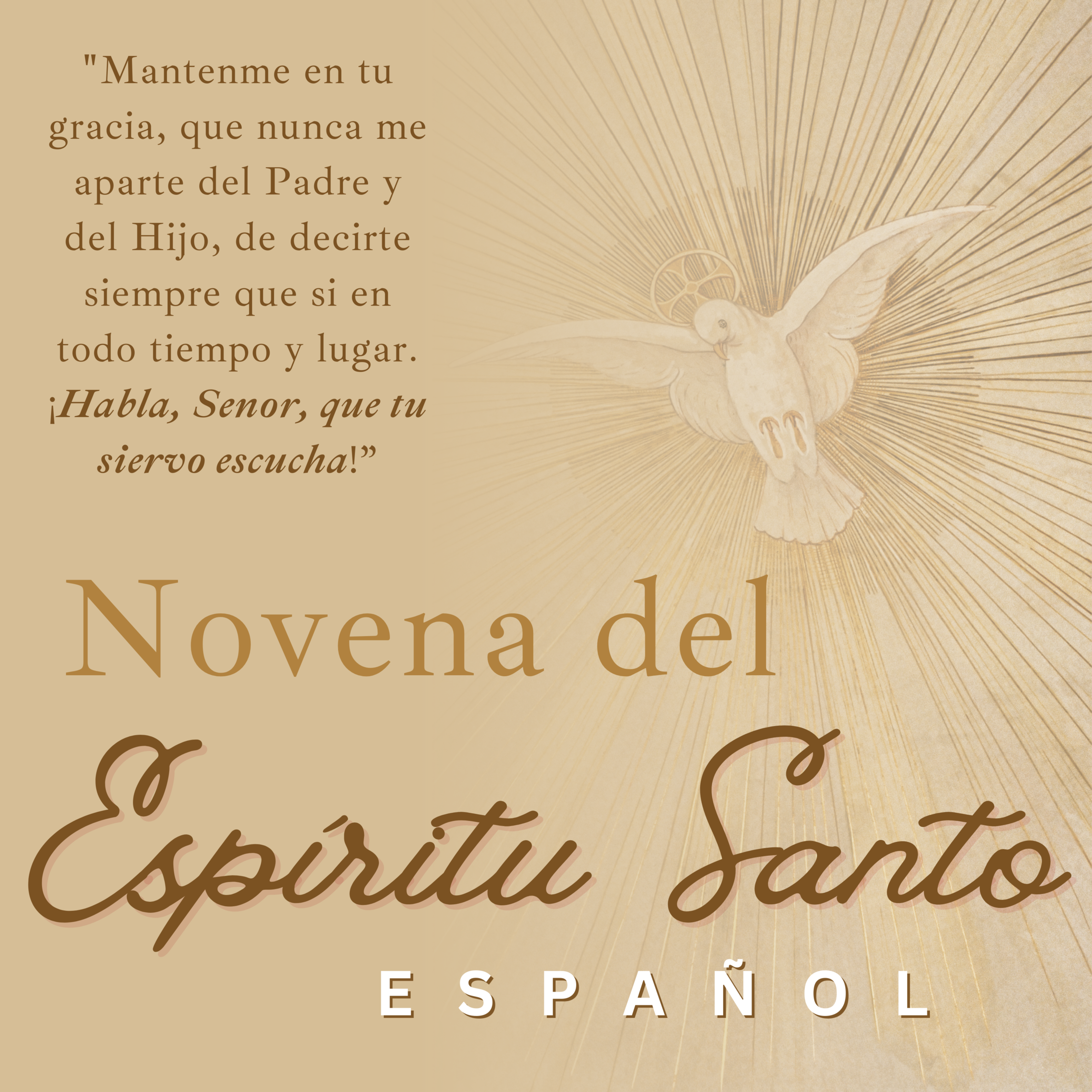 Holy Spirit Novena Image Spanish