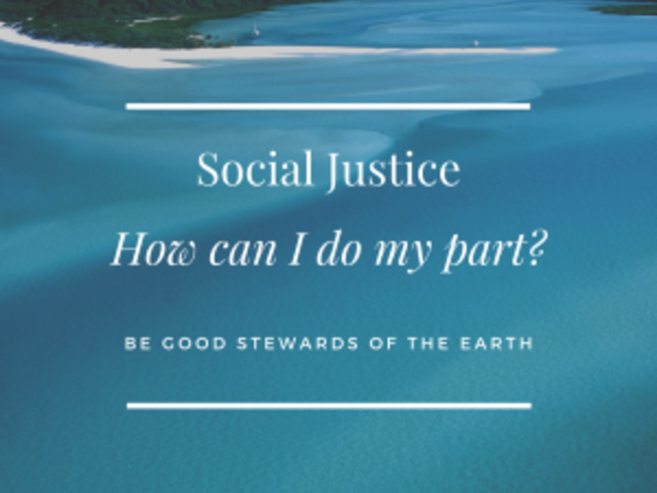 Social Justice Care For The Earth 300